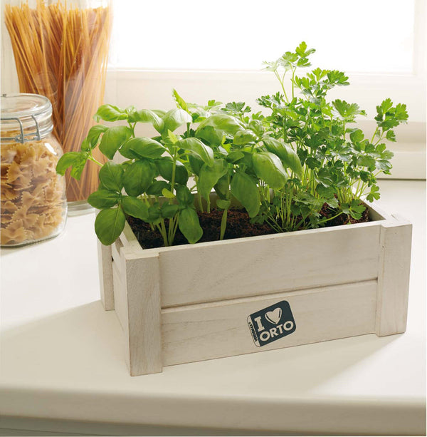 sconto Kit de graines de basilic et de persil avec boîte en bois et terreau Easyorto Rama