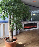 Camino Elettrico da Incasso 50,7x20x200 cm 1500W Effetto Fiamma Sined Vesuvio Nero