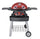 Barbecue a Gas GPL 2 Fuochi 5,2kW 2 Ripiani con Carrello Twin Grill Rosso