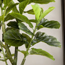 Pianta Artificiale Fico H150 cm con Vaso Verde