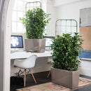 Telaio per Piante Rampicanti 91x39 cm a Forma di Traliccio