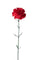 Lot de 12 fleurs d'oeillets artificiels H 67 cm
