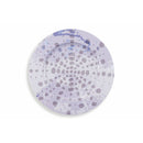 Set 6 Sottopiatti Tondi Ø33x1,5 cm in Latta VdE Tivoli 1996 Aurora 