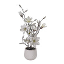 Fiore magnolia bianco neve con vaso cm Ø13,5xh68