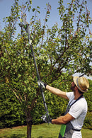 Svettatoio a Batteria Potatore Telescopico Rama PT20