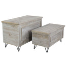 Set 2 Bauli in Legno in Legno di paulownia Tortora