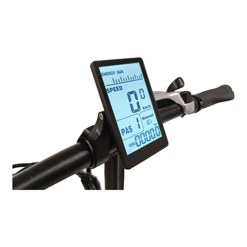 Fat-Bike Bicicletta Elettrica Pieghevole 36V a Pedalata Assistita 20"" 250W Grigio Antracite