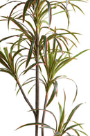 Pianta Artificiale Dracena Marginata con Vaso 190 cm 