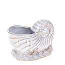 Set 2 Vasi Conchiglia con Base Ø 20 H 14 cm 