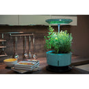 Macchina per Coltivazione di Piante Erbe Fiori con Lampada LED Garden Machine Verde