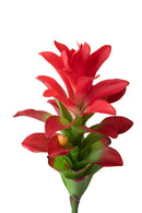 Set 4 Rami Artificiali Ginger Fiore con Foglie 100 cm 