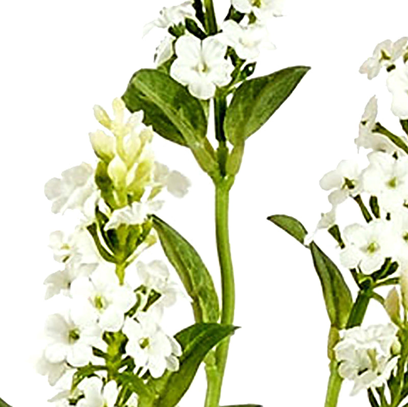 Set 6 Rami Artificiali di Bidens Composto da 5 Fiori Altezza 62 cm Bianco