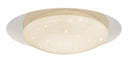 Plafoniera da Interno a LED in Plastica Bianco