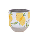 Set 3 Contenitori Decorativo Limoni Ø 14 H 14 cm