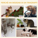 Albero Tiragraffi con Cuccia per Gatti in Legno Sisal 50x30x80 cm  Beige