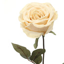 Set 4 Rose Artificiali Calista Altezza 72 cm 