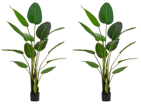 online Set 2 Piante Artificiali Strelitzia 170x32x185 cm in Plastica con Vasi Verde