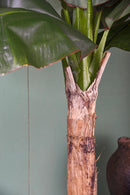 Pianta Artificiale Pianta Banana con Vaso H 240 cm