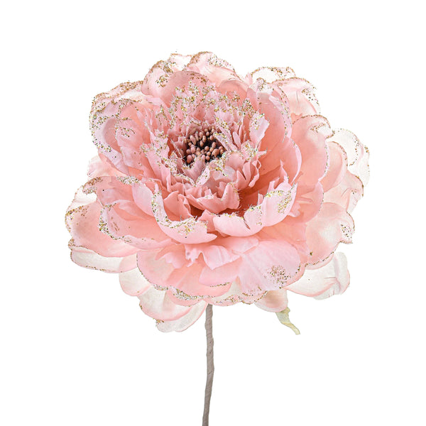 sconto Set 12 Pics Pivoine Ø11 cm Rose