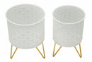 Porta Vasi Carly Coppia Ø16x20 cm - Ø13x20 cm in Ferro Oro      
