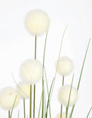 Set 6 Piante Artificiali con Vaso Ø 45x110 cm Eriophorum in Plastica Bianco