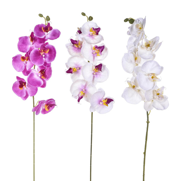 prezzo Lot de 8 Phalaenopsis artificiels à 8 fleurs hauteur 65 cm multicolore