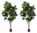 Set 2 Piante Artificiali di Ficus Ø120x230 cm in Plastica con Vasi Verde
