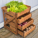 Cassettiera per Orto 50x54x60 cm in Legno