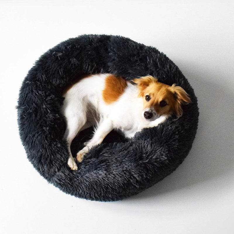 Cuccia per Cani e Gatti �50 cm in Poliestere Petrolio Varie Misure