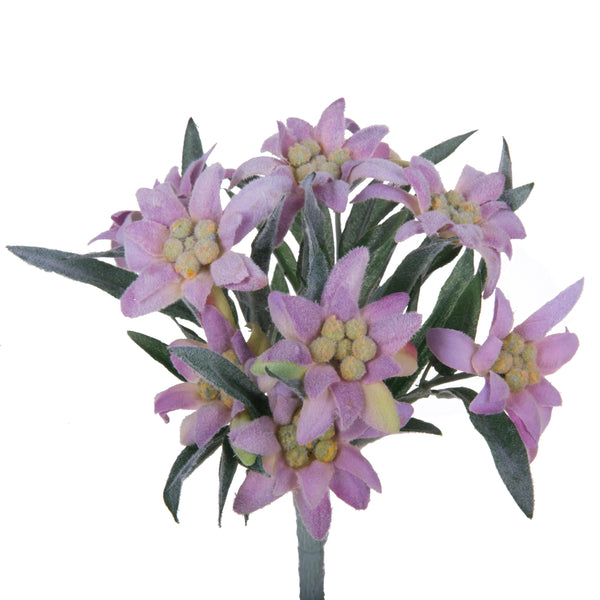 Set 2 Plantes Edelweiss Artificielles Composées de 9 Fleurs Hauteur 25 cm Rose sconto