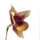 Set 3 Rami Artificiali Orchidea 64 cm Scarpetta con Foglie 