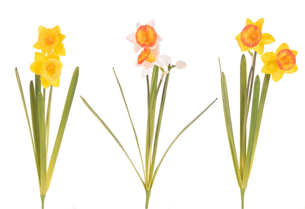 sconto Set 4 Narcisses avec 2 Fleurs Artificielles Hauteur 48 cm Multicolore