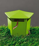 Set 2 Trappole per Lumache in Plastica Rama Verdi