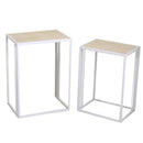 Set 2 Portapiante Rettangolari per Giardino e Balcone in Metallo Lucilla Bianco