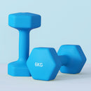 Set 2 Manubri Palestra 6 kg Pesi esagonali per Allenamento Azzurro