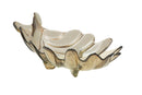 Svuota Tasche Leaf 33x20x11 cm Vetro Grigio