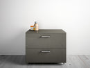 Mobile Cassettiera 2 Cassetti Soft Close in Legno in Melaminico 70x52x57cm TFT Samoa Grigio