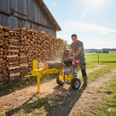 Spaccalegna Orizzontale con Motore a Diesel Spinta 12 Tonnellate Famag SL12 D 600