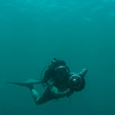 Seascooter Acqua Scooter Elettrico 7,2 Km/h Robesea Warp10 Blu e Grigio