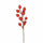 Set de 24 Pics Piricantha H22 cm Rouge