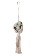 Set 2 Corde Parete Vasi 8 10 Ø 60 127 cm