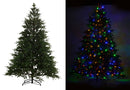 Albero di Natale Luminoso 350 LED H225cm Verde