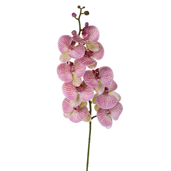 sconto Set 2 Phalenopsis artificiels avec 9 fleurs Hauteur 110 cm Violet
