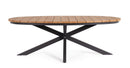 Tavolo da Esterno 218x115x75h cm in Alluminio Zelmar Naturale e Antracite  