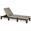 Lettino in Resina Antiurto Schienale Reclinabile Completo di Cuscino per Arredo Giardino Colore Brown