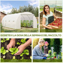 Serra da Giardino a Tunnel per Piante in PE con Tubi di Ferro Bianco 600x300x200 cm 