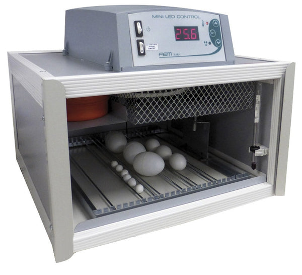 Cip Cip 28 Mini Incubateur d'Oeufs LCD prezzo