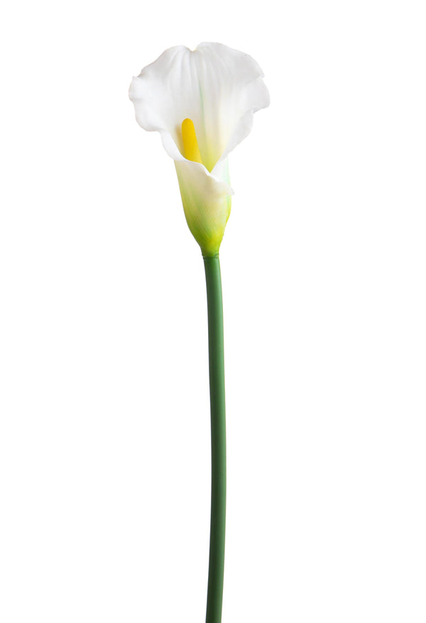 Lot de 8 fleurs de calla artificielles simples, hauteur 68 cm, blanches acquista