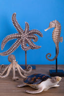 Statuetta Tartaruga Marina 24 cm