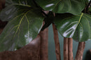 Ficus Lyrata Artificiale Altezza 180 cm Verde